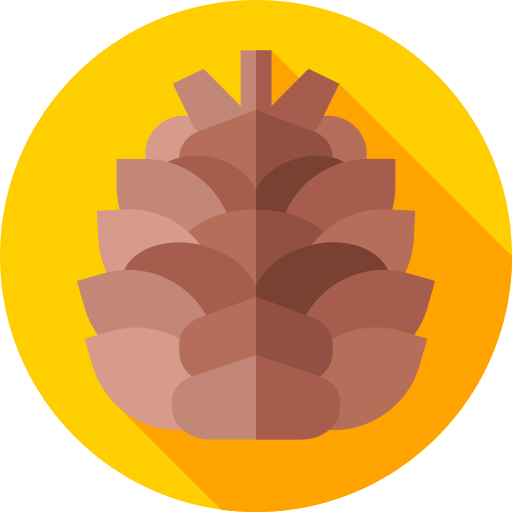 free-icon-pine-cone-3204821 (1)